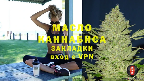 амф Гусь-Хрустальный