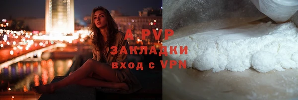 амф Гусь-Хрустальный