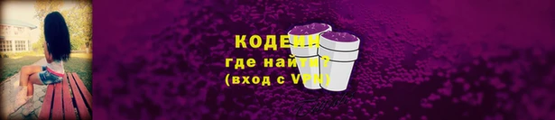 амф Гусь-Хрустальный