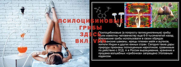 амф Гусь-Хрустальный