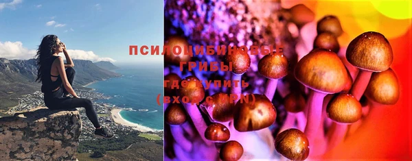 гашиш Гусев