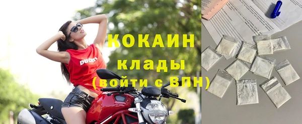 амф Гусь-Хрустальный